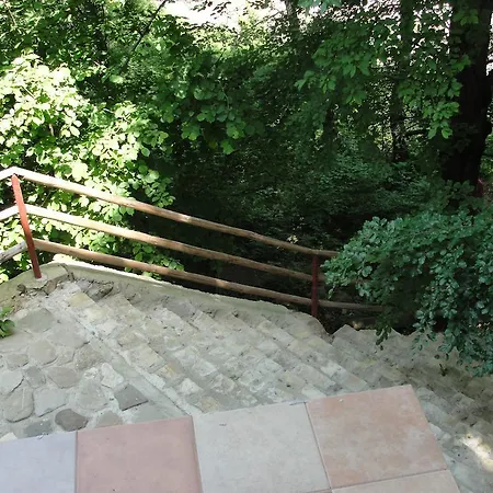 Pensiunea Madona-3