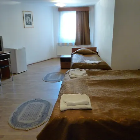 Vila Transilvania-3