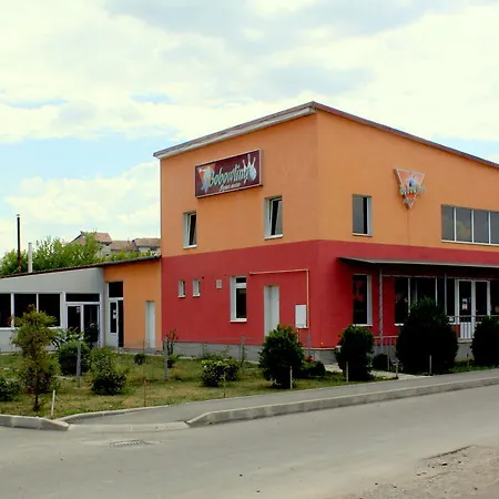 Pensiunea Bobo Panzio-3
