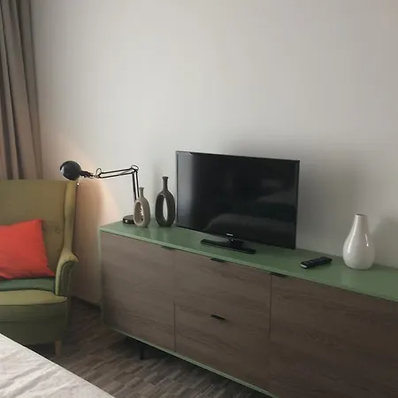 Brasov Penthouse Retreat-3