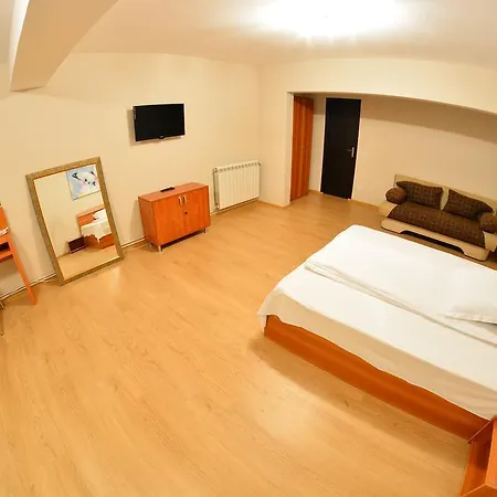 Casa Cojocaru- camere de închiriat în scop turistic-2