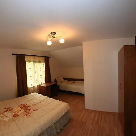 Pensiunea Valea Ursului-3