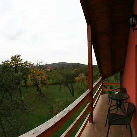 Pensiunea Valea Ursului-2