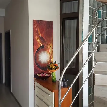 Casa Cojocaru- camere de închiriat în scop turistic-3
