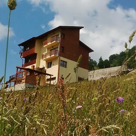 Pensiunea Daria-3