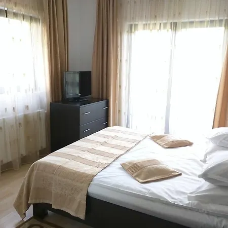 Hotel Silvia Apart Sinaia-2