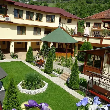 Pension Cuibul Viselor-3