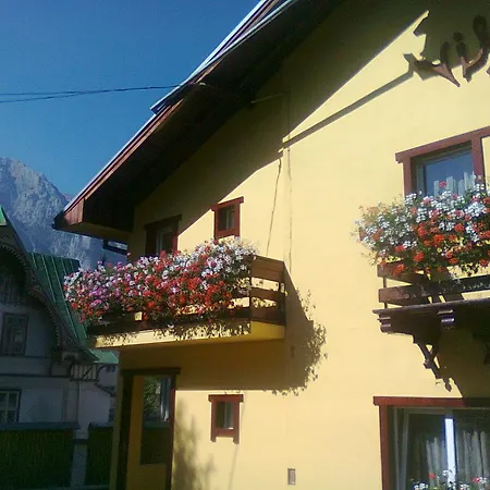 Vila Foisor-3
