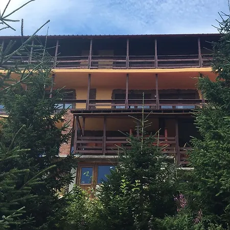 Vila Panda-2