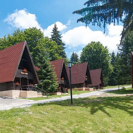 Centrul De Echitatie Poiana Brasov-3