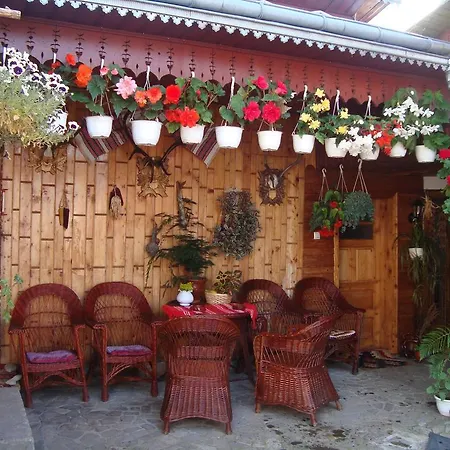 Pensiunea Casa Rodica-2