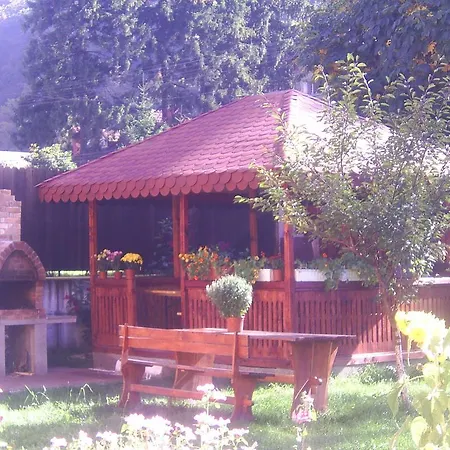 Vila Foisor-2
