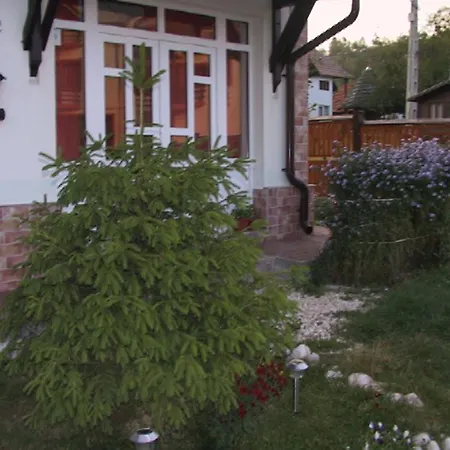 Pension Piatra Craiului-3