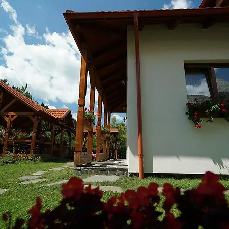 Casa Bunicii-3