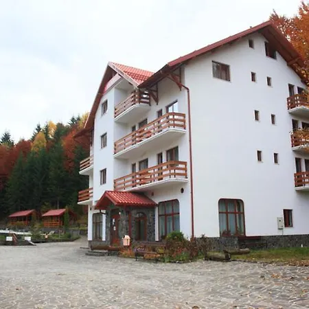 Hotel Paltinis-3