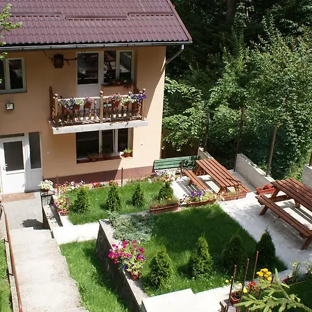 Vila Aleea-3