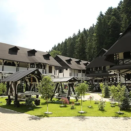 Complex Lions Bucovina-2