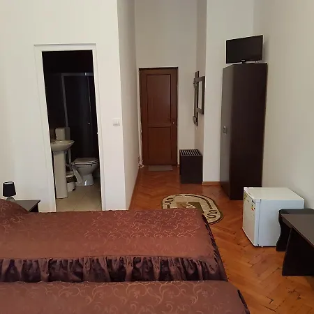 Pensiunea Mioritza-3