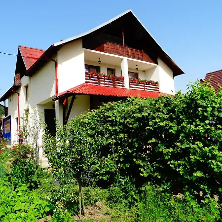 Pensiunea Casa Elena-3