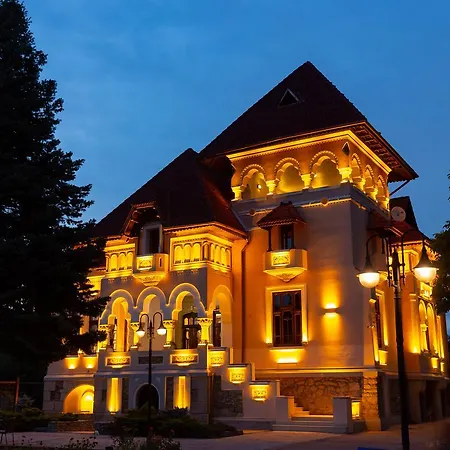 Casa Danielescu-3
