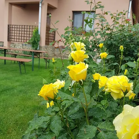 Casa Daria-2