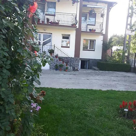 Pensiunea Diana-2