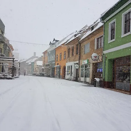 Chic Studio Brasov-2