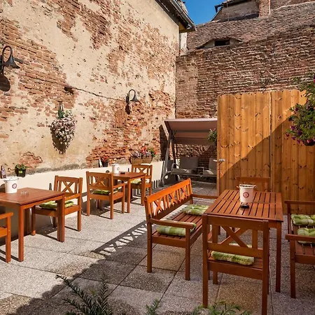 Blumenhaus Sibiu-2