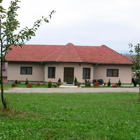Casa Alin-3