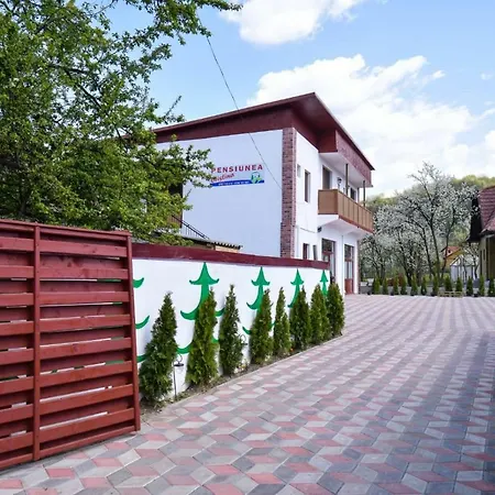Pensiunea Cristina-3