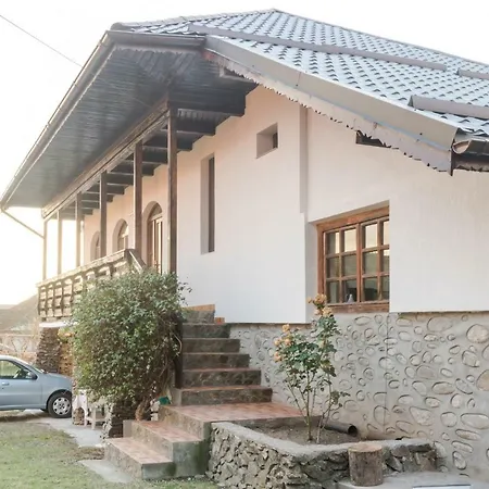 Casa de vacanta Mirela-2