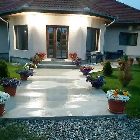 Casa Alin-2