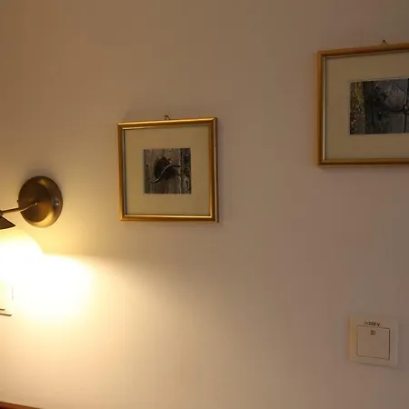 Pension Ferdinand Panzio-3