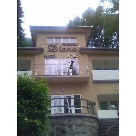 Pensiunea Diana-2