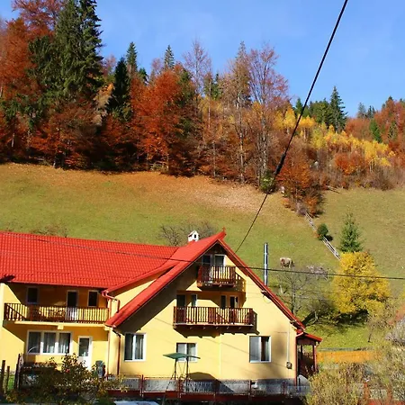 Căsuța de lângă pădure-3