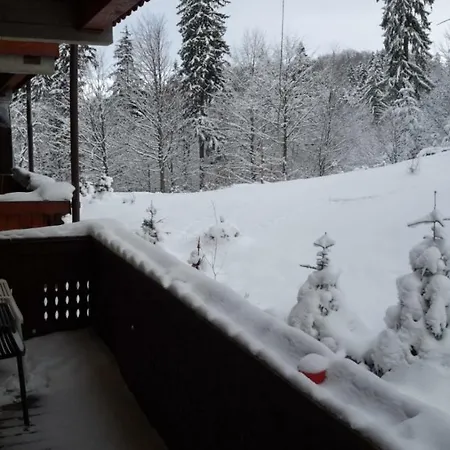 Fairytale Apartment Close To Bradu Ski Slope-2