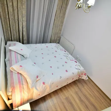 Sibiu City Residence-2