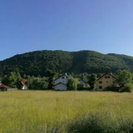 Casa cu Păuni-3