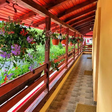 Casa Boico-3