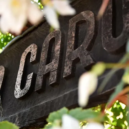 Carul Cu Flori-3