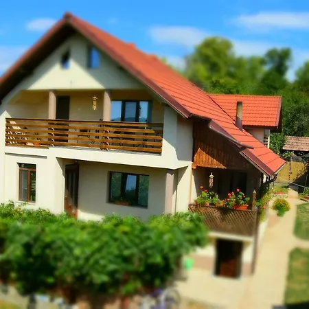 Casa Smeilor Horezu-2