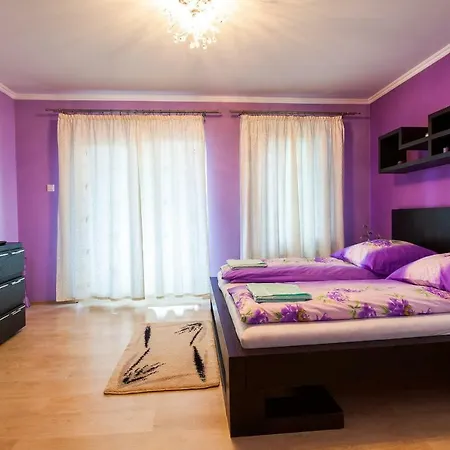 Vila Transylvania-2