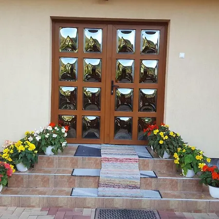 Szandi Panzio-3