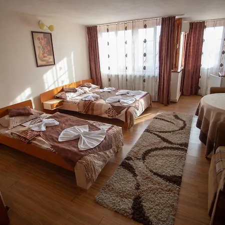 Vila Tei Guesthouse-2
