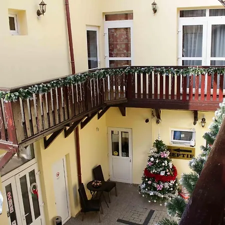 Pensiunea Casa Helis-2
