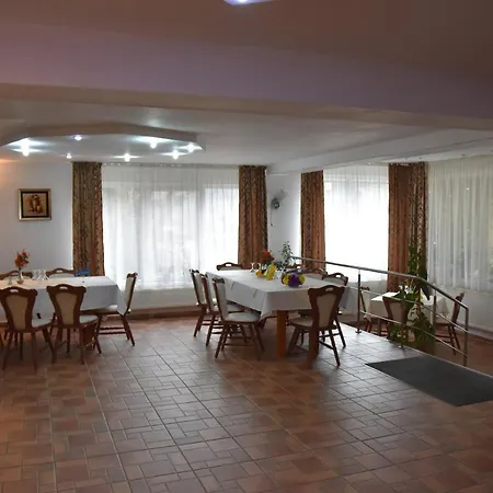 Pensiunea Steluta-3