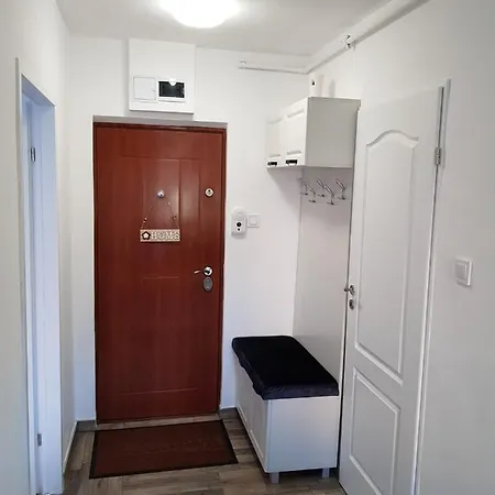 Savas Studio Brasov-3