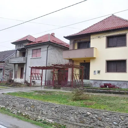 Casa de vacanța Alina-3