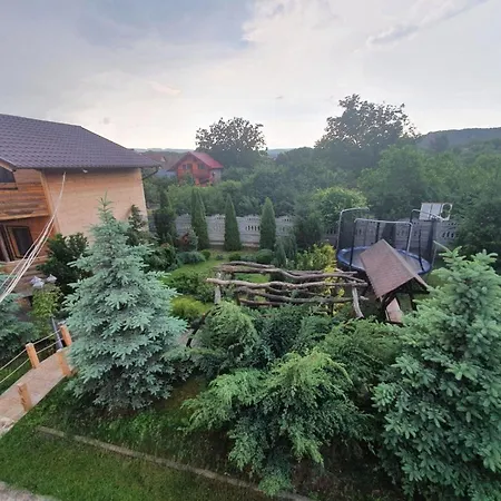 Daiana Residence Turda-3