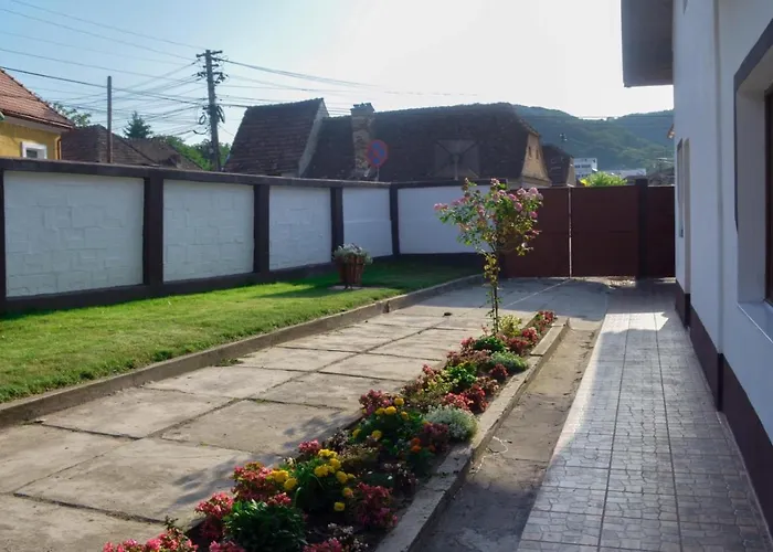 Haustierfreundliches Vik. Apartment Sighişoara